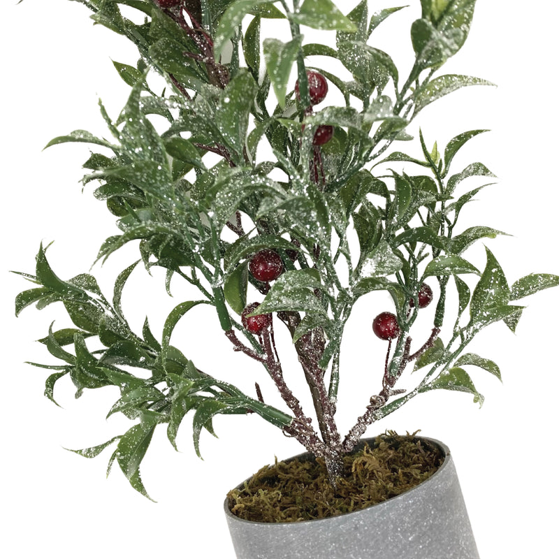 Berry Tree Planter