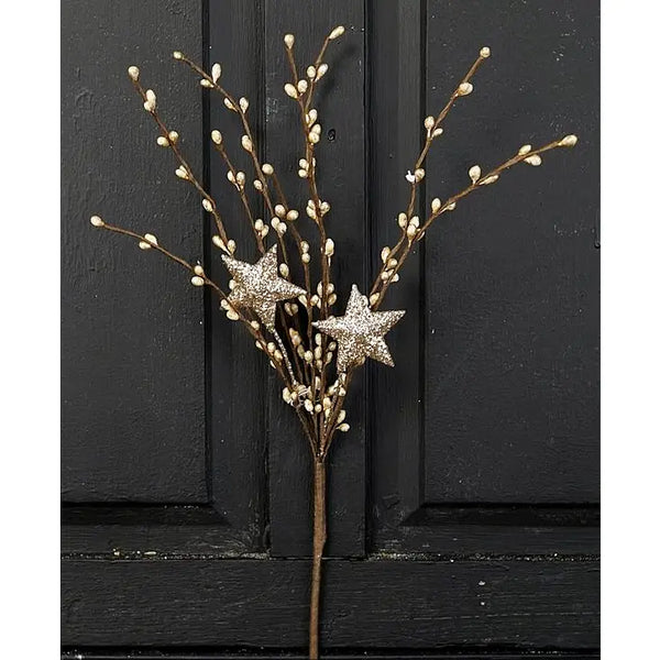 14" Champagne Star Pip Pick