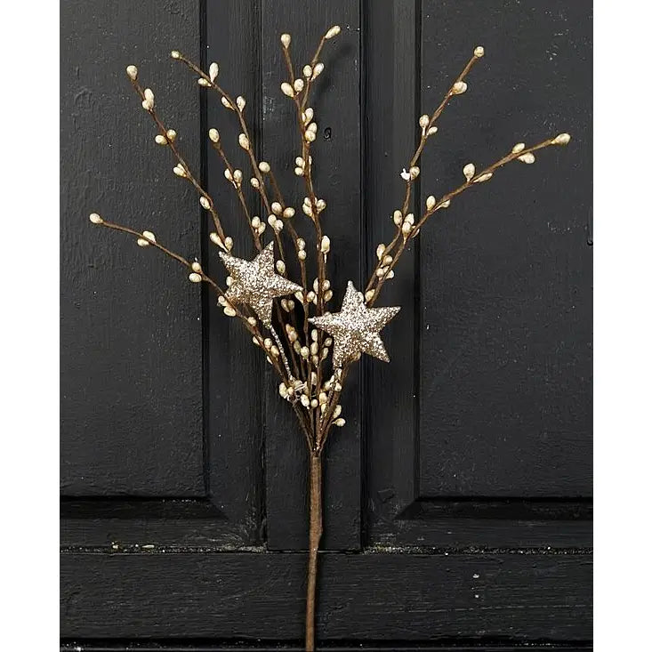 14" Champagne Star Pip Pick