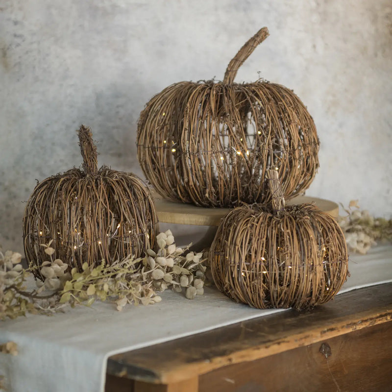 Lighted Rattan Pumpkins