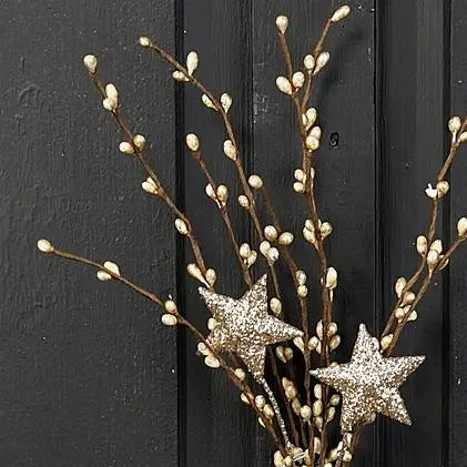 14" Champagne Star Pip Pick