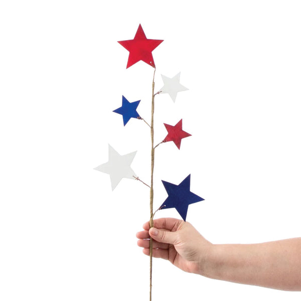 Fourth of July Stars Spray