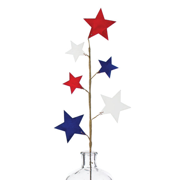 Fourth of July Stars Spray