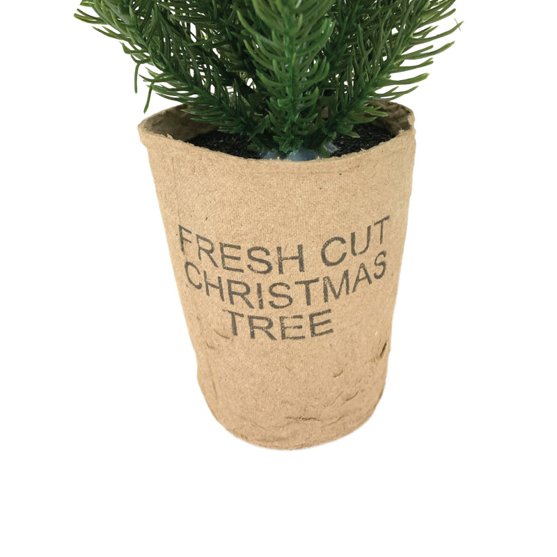 Fresh Cut Christmas Tree