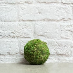 Moss ball 3"