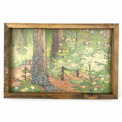 Christmas Tree Forest <br>Framed Art