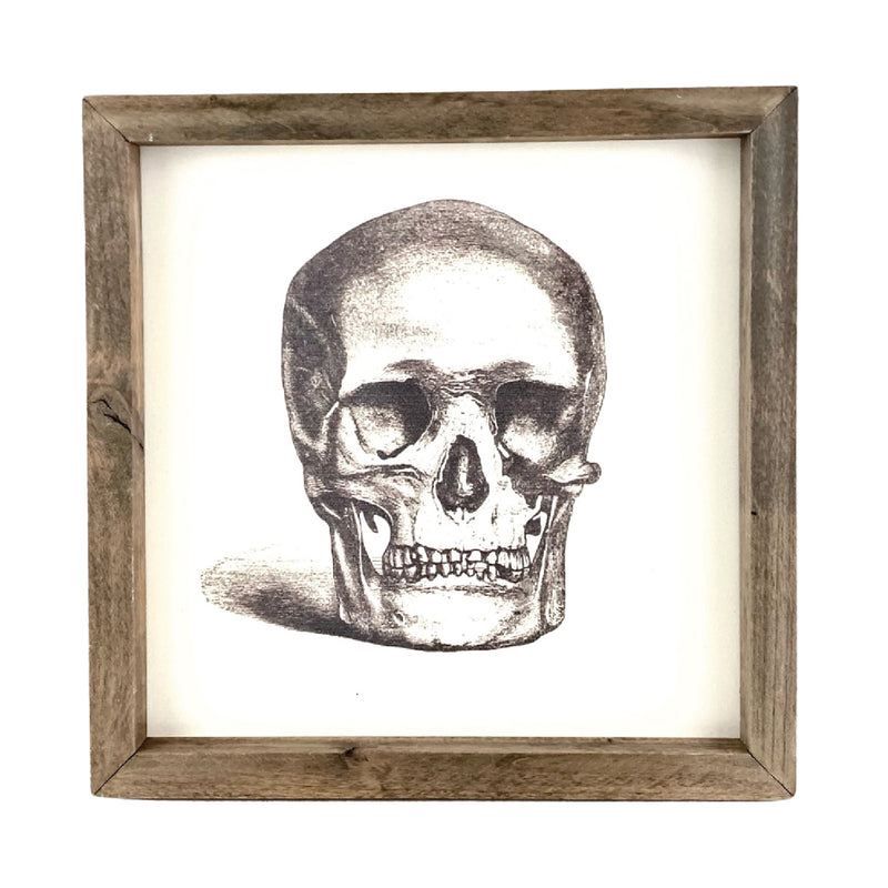 Skull Illustration<br>Framed Art