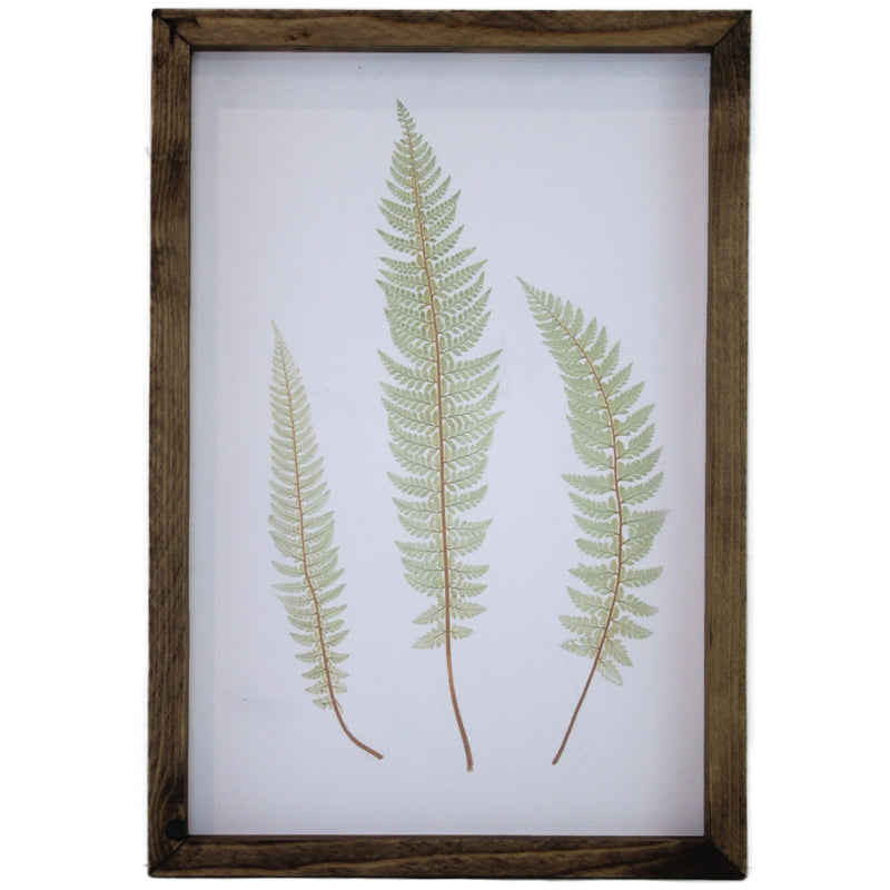 Green Three Leaves <br>Framed Art