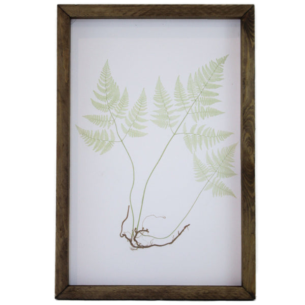 Green Sprig <br>Framed Art