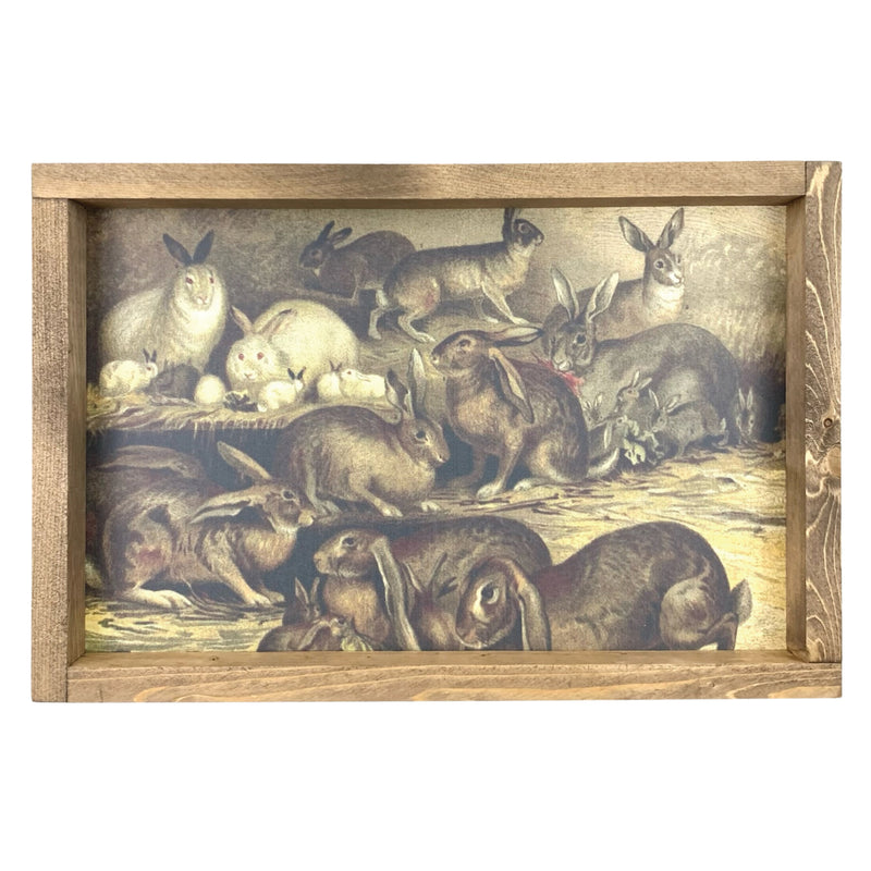 Bunny Farm <br>Framed Art