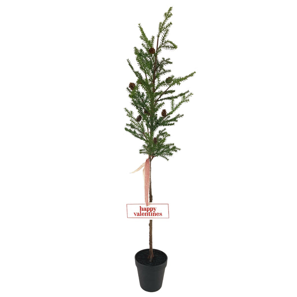 Valentines Potted Tree