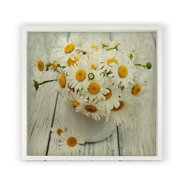 White Daisies <br>Framed Photography
