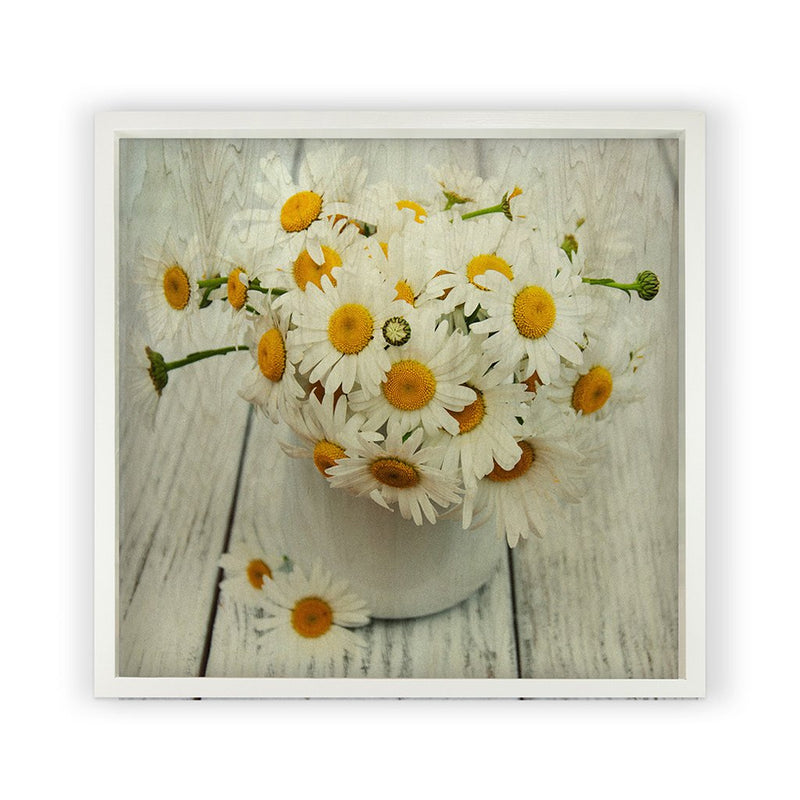 White Daisies <br>Framed Photography