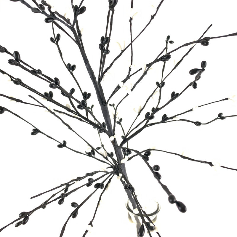 Black & White Berry Spray