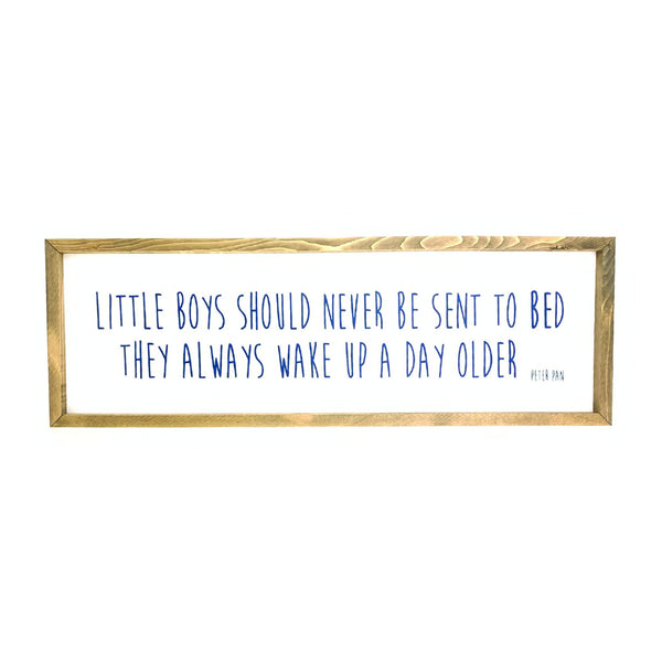 Little Boys Should Never Framed Saying