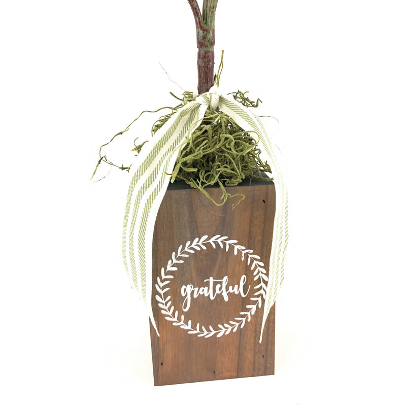 Grateful Box Tree