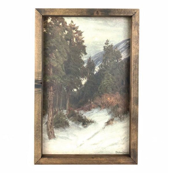 Forest <br>Framed Print