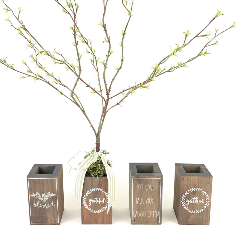 Grateful Box Tree